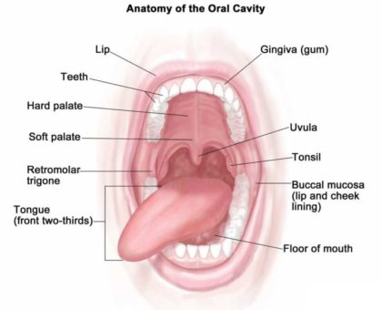 Oral Cancer Treatment in Noida, Patna, Delhi NCR - Homeo Foundation